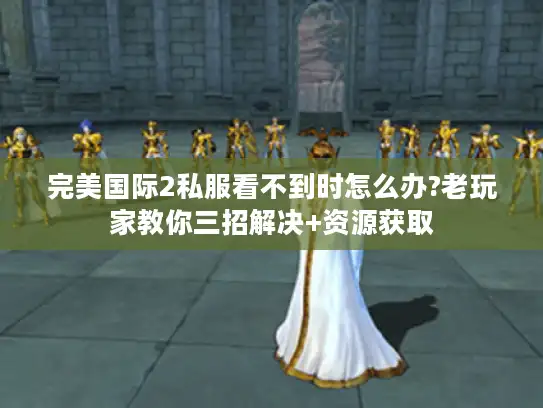 完美国际2私服看不到时怎么办?老玩家教你三招解决+资源获取