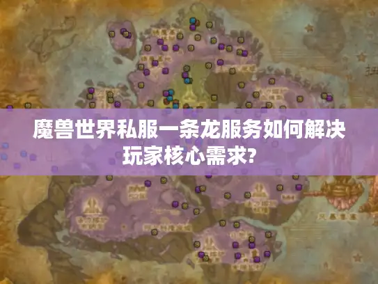 魔兽世界私服一条龙服务如何解决玩家核心需求?