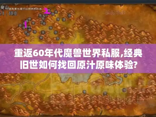 重返60年代魔兽世界私服,经典旧世如何找回原汁原味体验?