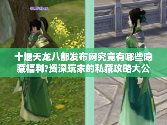 十堰天龙八部发布网究竟有哪些隐藏福利?资深玩家的私藏攻略大公开 十堰天龙八部发布网究竟有哪些隐藏福利?资深玩家的私藏攻略大公开