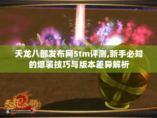 天龙八部发布网5tm评测,新手必知的爆装技巧与版本差异解析