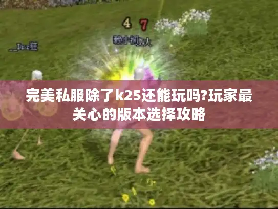 完美私服除了k25还能玩吗?玩家最关心的版本选择攻略 完美私服除了k25还能玩吗?玩家最关心的版本选择攻略