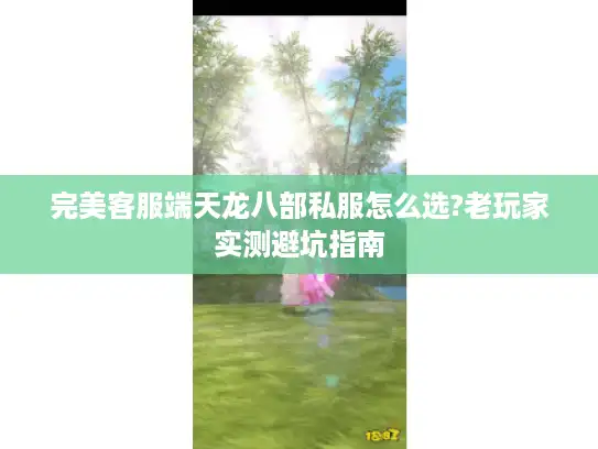 完美客服端天龙八部私服怎么选?老玩家实测避坑指南