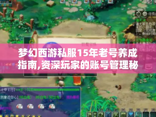 梦幻西游私服15年老号养成指南,资深玩家的账号管理秘籍 梦幻西游私服15年老号养成指南,资深玩家的账号管理秘籍