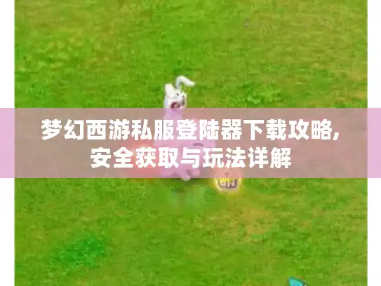 梦幻西游私服登陆器下载攻略,安全获取与玩法详解