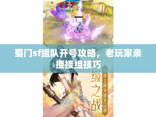 蜀门sf组队开号攻略，老玩家亲授接组技巧
