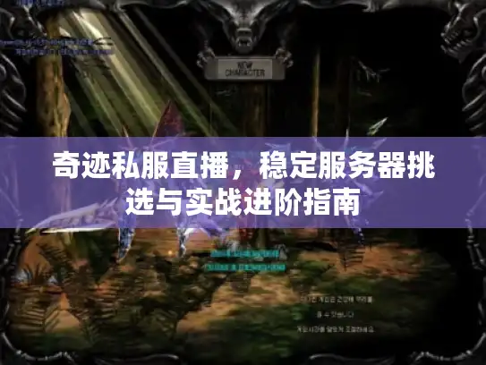 奇迹私服直播，稳定服务器挑选与实战进阶指南