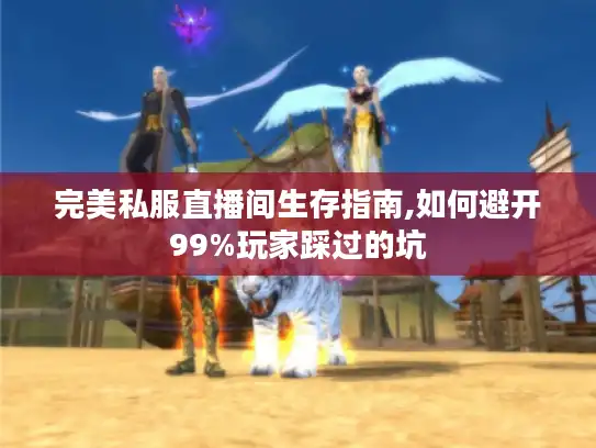 完美私服直播间生存指南,如何避开99%玩家踩过的坑 完美私服直播间生存指南,如何避开99%玩家踩过的坑