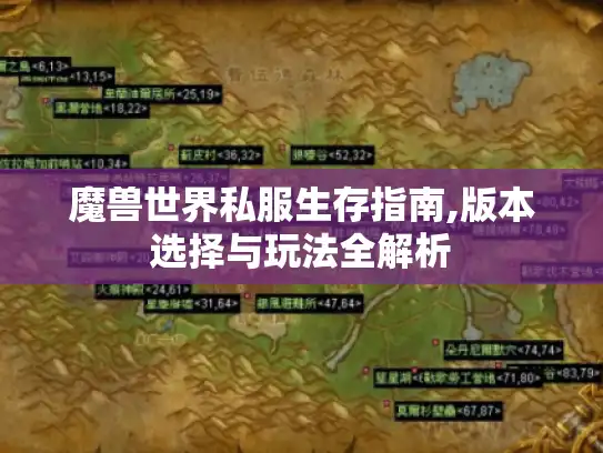 魔兽世界私服生存指南,版本选择与玩法全解析