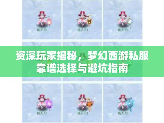资深玩家揭秘，梦幻西游私服靠谱选择与避坑指南