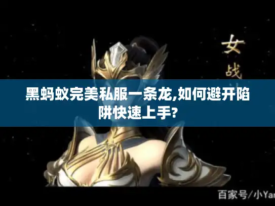 黑蚂蚁完美私服一条龙,如何避开陷阱快速上手?