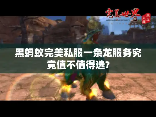 黑蚂蚁完美私服一条龙服务究竟值不值得选?