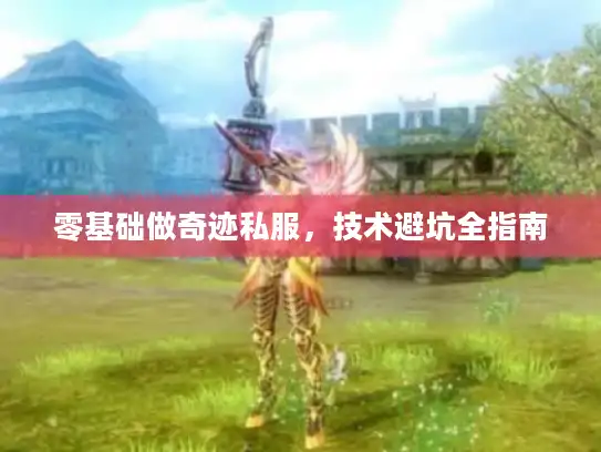 零基础做奇迹私服，技术避坑全指南