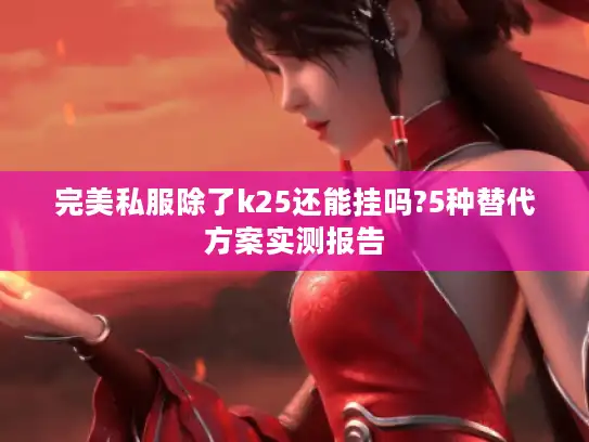 完美私服除了k25还能挂吗?5种替代方案实测报告 完美私服除了k25还能挂吗?5种替代方案实测报告