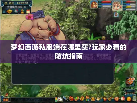 梦幻西游私服端在哪里买?玩家必看的防坑指南