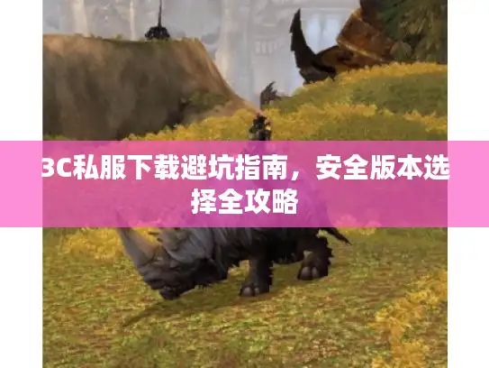 3C私服下载避坑指南，安全版本选择全攻略