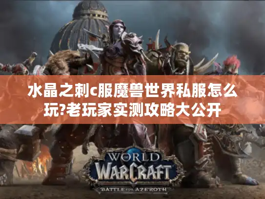 水晶之刺c服魔兽世界私服怎么玩?老玩家实测攻略大公开