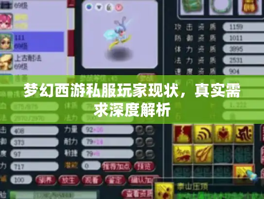 梦幻西游私服玩家现状，真实需求深度解析
