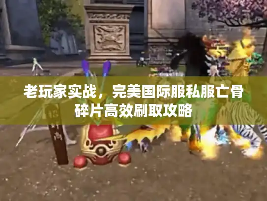 老玩家实战，完美国际服私服亡骨碎片高效刷取攻略