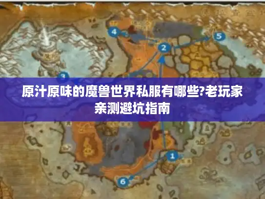 原汁原味的魔兽世界私服有哪些?老玩家亲测避坑指南