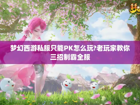 梦幻西游私服只能PK怎么玩?老玩家教你三招制霸全服 梦幻西游私服只能PK怎么玩?老玩家教你三招制霸全服