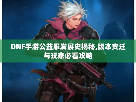 DNF手游公益服发展史揭秘,版本变迁与玩家必看攻略