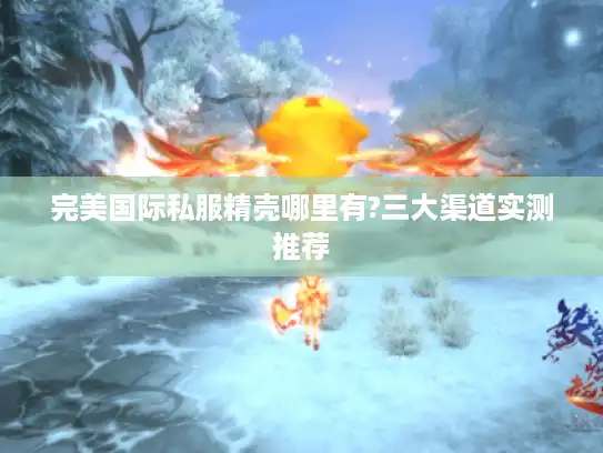 完美国际私服精壳哪里有?三大渠道实测推荐 完美国际私服精壳哪里有?三大渠道实测推荐