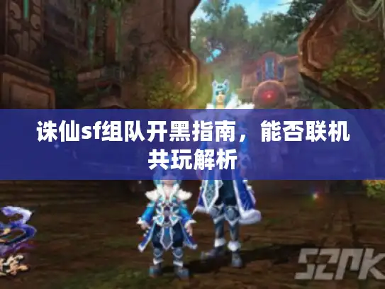 诛仙sf组队开黑指南，能否联机共玩解析