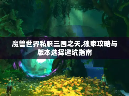 魔兽世界私服三国之天,独家攻略与版本选择避坑指南