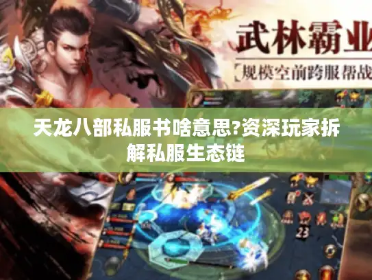 天龙八部私服书啥意思?资深玩家拆解私服生态链