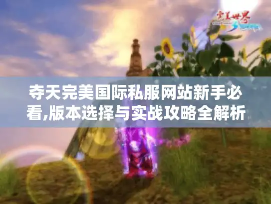 夺天完美国际私服网站新手必看,版本选择与实战攻略全解析