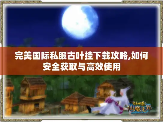完美国际私服古叶挂下载攻略,如何安全获取与高效使用 完美国际私服古叶挂下载攻略,如何安全获取与高效使用