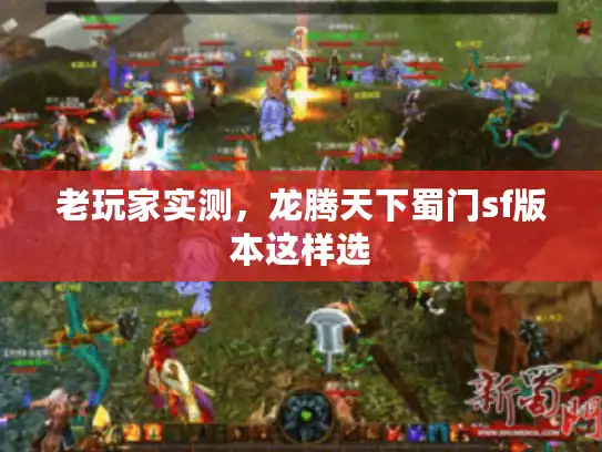 老玩家实测，龙腾天下蜀门sf版本这样选