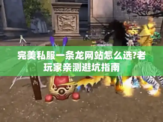 完美私服一条龙网站怎么选?老玩家亲测避坑指南