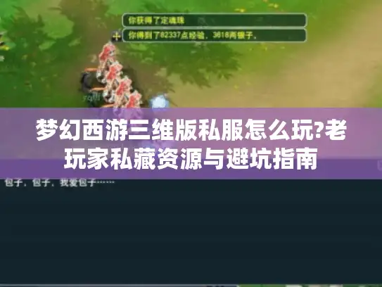梦幻西游三维版私服怎么玩?老玩家私藏资源与避坑指南