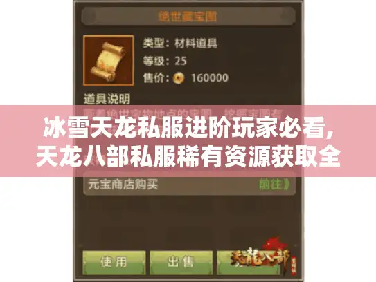 冰雪天龙私服进阶玩家必看,天龙八部私服稀有资源获取全攻略