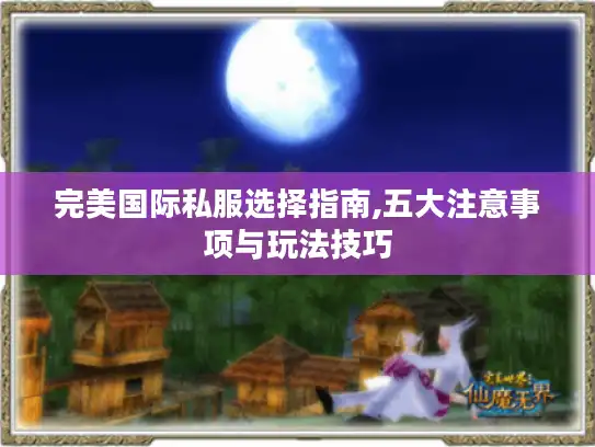 完美国际私服选择指南,五大注意事项与玩法技巧