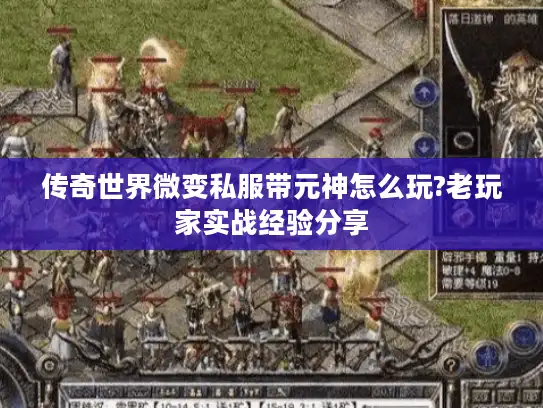 传奇世界微变私服带元神怎么玩?老玩家实战经验分享