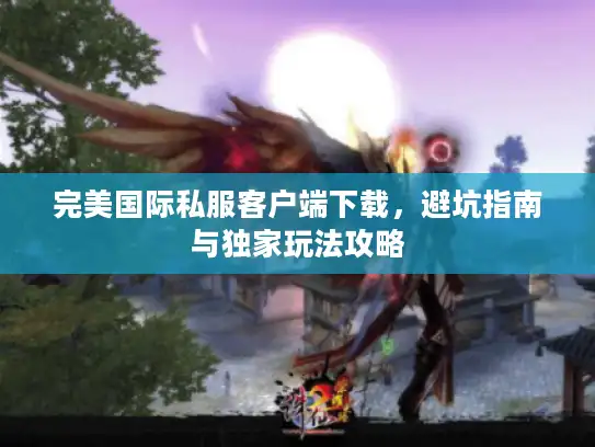 完美国际私服客户端下载，避坑指南与独家玩法攻略