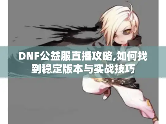 DNF公益服直播攻略,如何找到稳定版本与实战技巧