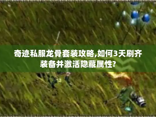 奇迹私服龙骨套装攻略,如何3天刷齐装备并激活隐藏属性? 奇迹私服龙骨套装攻略,如何3天刷齐装备并激活隐藏属性?