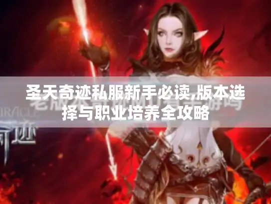 圣天奇迹私服新手必读,版本选择与职业培养全攻略
