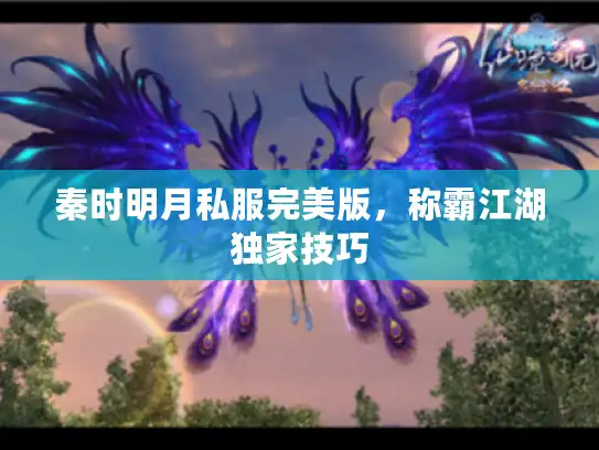 秦时明月私服完美版，称霸江湖独家技巧