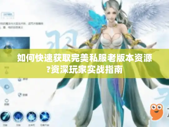 如何快速获取完美私服老版本资源?资深玩家实战指南