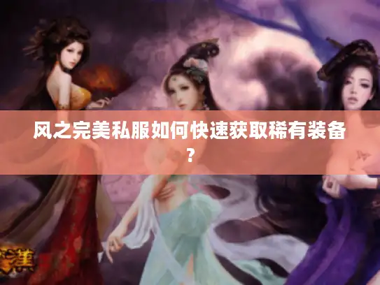 风之完美私服如何快速获取稀有装备?