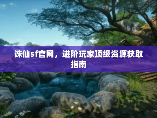 诛仙sf官网，进阶玩家顶级资源获取指南