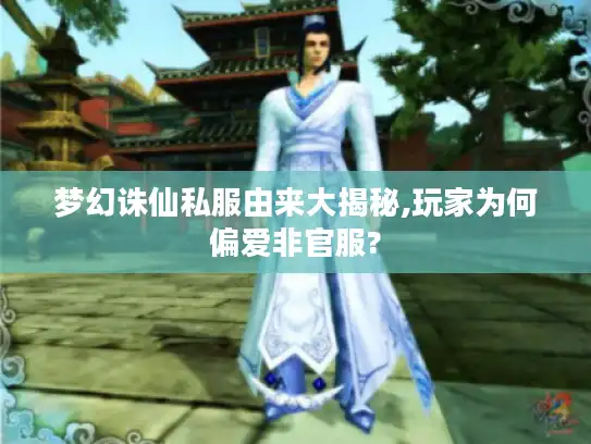 梦幻诛仙私服由来大揭秘,玩家为何偏爱非官服?