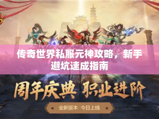 传奇世界私服元神攻略，新手避坑速成指南