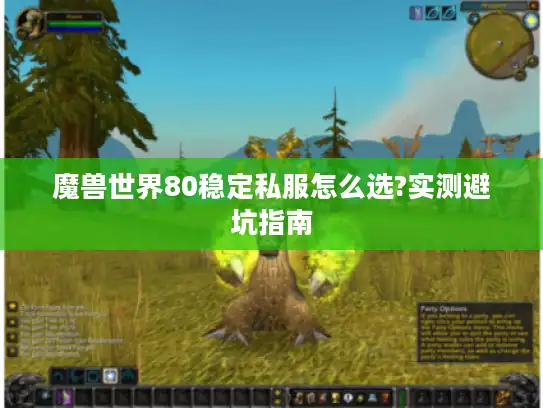魔兽世界80稳定私服怎么选?实测避坑指南 魔兽世界80稳定私服怎么选?实测避坑指南