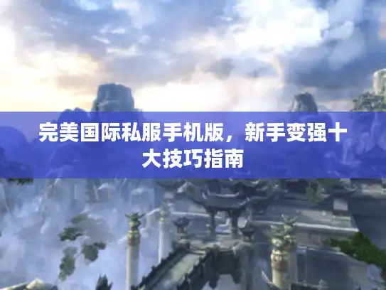 完美国际私服手机版，新手变强十大技巧指南